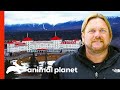 Ominous Hotel Is a Prime Spot for Bigfoot Sightings | Finding Bigfoot