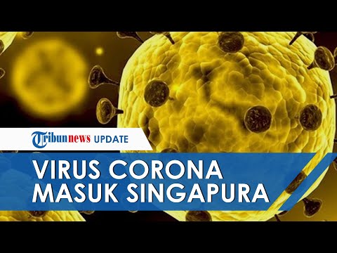 virus-corona-masuk-ke-singapura,-pemerintah-singapura-periksa-30-penumpang-yang-duduk-dekat-korban