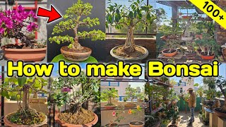 How to make 100+ Bonsai at home,  How to make Bonsai by The One Page 23,061 views 3 months ago 22 minutes
