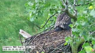 INWR-76 days old INWR2 hover move 2026 06 18