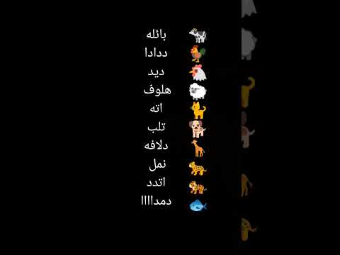 راحت هيبه النمر ههههههههه