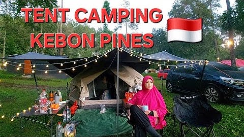Tent Camping at Kebon Pines Campground, Cikole, Lembang