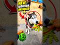 Husky Gets ONE Toy and Wants the Entire Store 😂🐶 #shorts #dogs