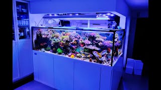 Das 1.800 Liter Meerwasser Aquarium von Thomas Meyer  ein besonderer Hausbesuch 1/2