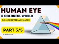 Prism Physics: How Sunlight Becomes a Rainbow