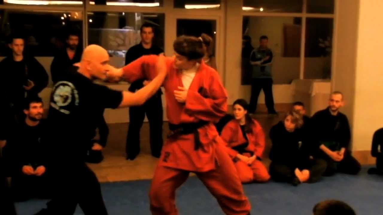 Seminario Pedro Fleitas - SEGOVIA Enero 2013 Bujinkan Uma Ryu Segovia Dojo