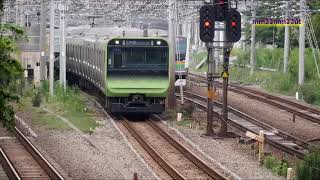 山手貨物線　成田エクスプレスコンテナ列車通過