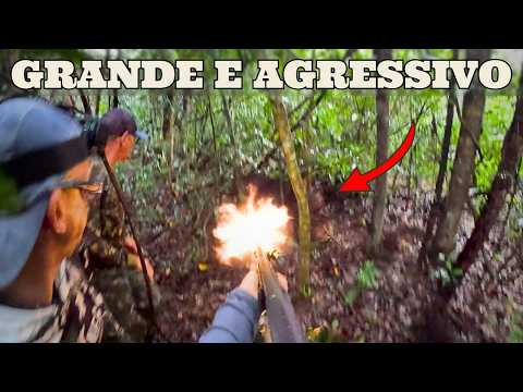 PARTIU PRA CIMA, FICAMOS EM APUROS! | JAVALI BRASIL