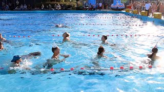 Hat Day At The Leiden Fourday Swimming Event its Really Funny When You See All The People Wea