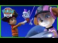Pups Solve a Royal Mystery! - PAW Patrol Episode - Cartoons for Kids