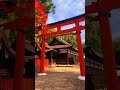 Kamigamo Shrine / 上賀茂神社 #travel #旅行 #visitjapan #観光 #japan #japantravel #kyoto