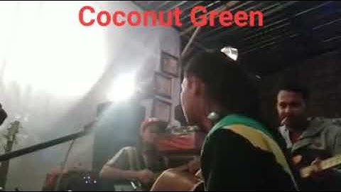 tony q rastafara republik sulap cover coconut green reggae malang