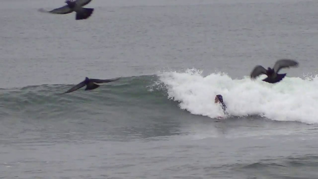 2017 Bodysurfing World Championships (short) YouTube