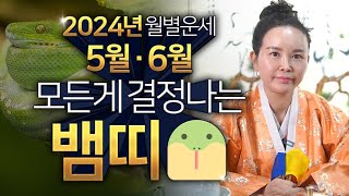 2024년 5월,6월 대박나는!? 뱀띠운세 /  2024년 갑진년 뱀띠에게 생길 큰 변화들 뱀띠 월별운세 /…