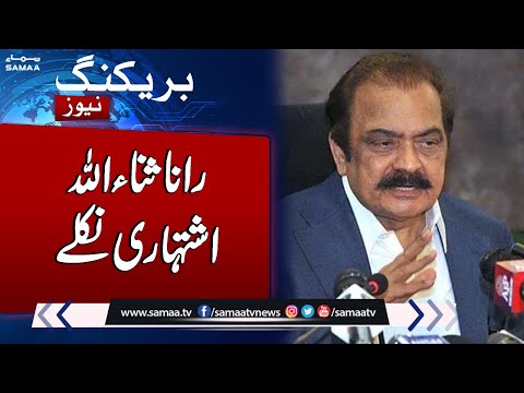 Breaking News: General Election 2024 | Rana Sana Ullah Khan Ishtahari Niklay | Samaa TV