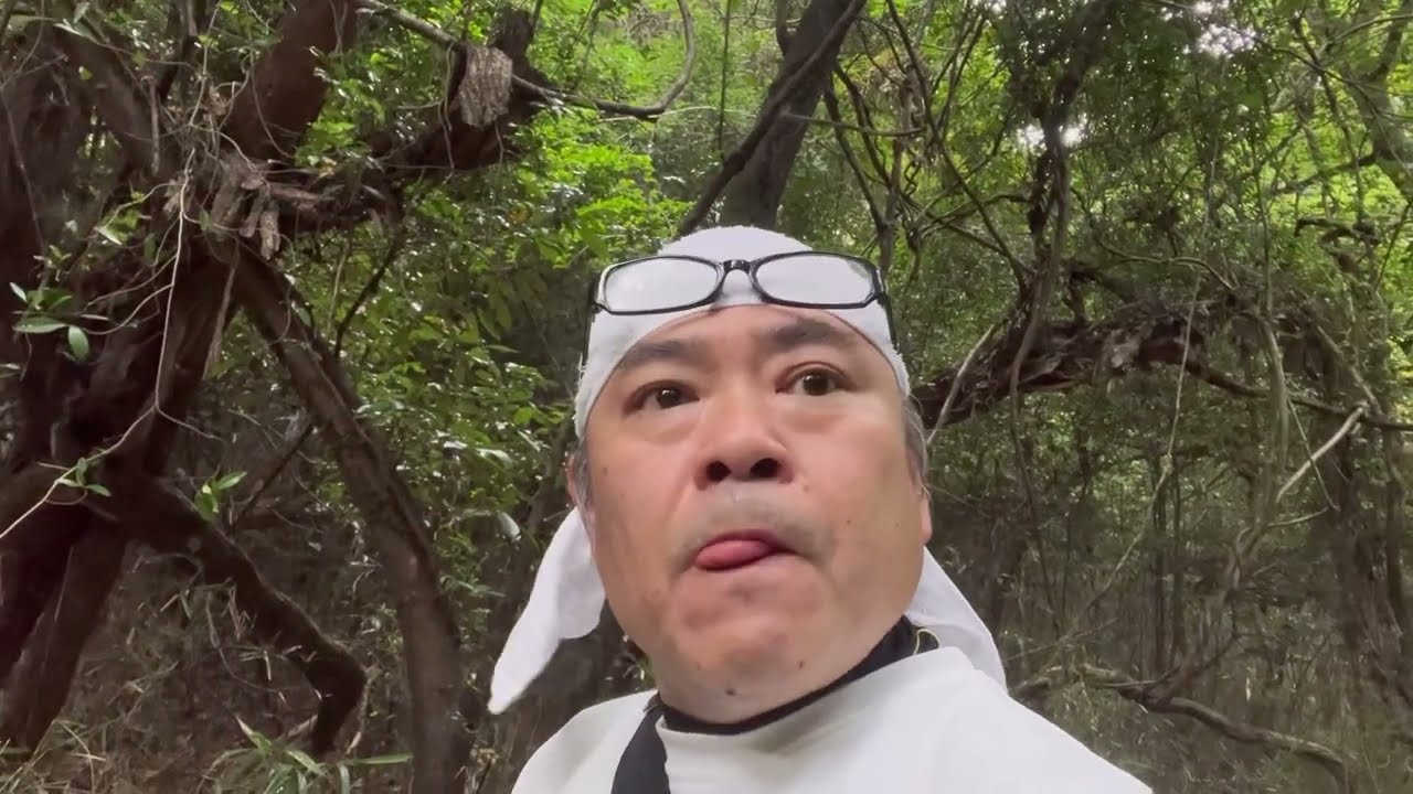 ２０２２.１０月３.４.５日【きのこ日記】