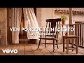Los Temerarios - Ven Porque Te Necesito (Visualizer)