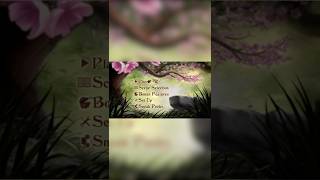 Bambi II (2006) DVD Main Menu (Spring) (16x9)