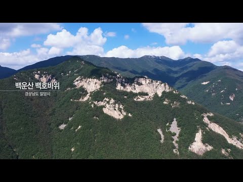거대한 흰 호랑이가 산위로 오르는 형상~ 밀양 백운산 백호바위 | KBS뉴스9 ID, 20200929(화)