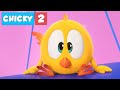 Where's Chicky? Funny Chicky 2021 | CHICKY FIGHTER PILOT | Chicky Cartoon in English for Kids