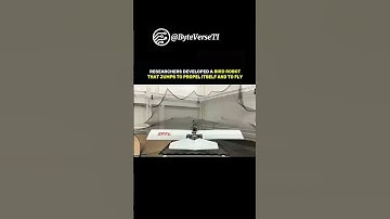 The Future of Robotics: Flying Robot Bird