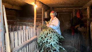Життя бабусі в гірському селі взимку. Рецепт бабусі - вареники із бринзою