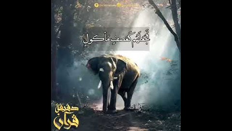 سورة الفيل ماهر المعيقلي