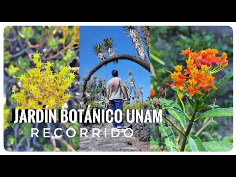 Tour por el JARDIN BOTÁNICO más importante de MÉXICO 🌵🌾🌸
