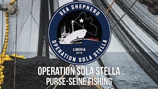 How Illegal Purse-Seine Fishing Decimates Marine Wildlife