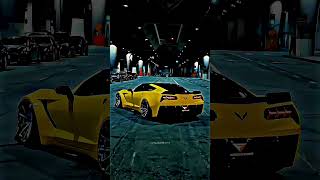 𝐂𝐨𝐧𝐠𝐚 𝐂𝐨𝐧𝐠𝐚 𝐂𝐨𝐧𝐠𝐚