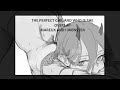 Who Is She X The Perfect Girl Overlap Version mp3
