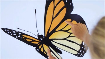 SMART Board E70 interactive flat panel