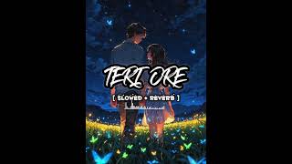 Teri Ore (Slowed + Reverb) | Dreamy Lofi Mix for Peaceful Moments