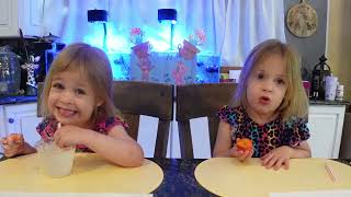 Famous Twins try milkshake Wealth