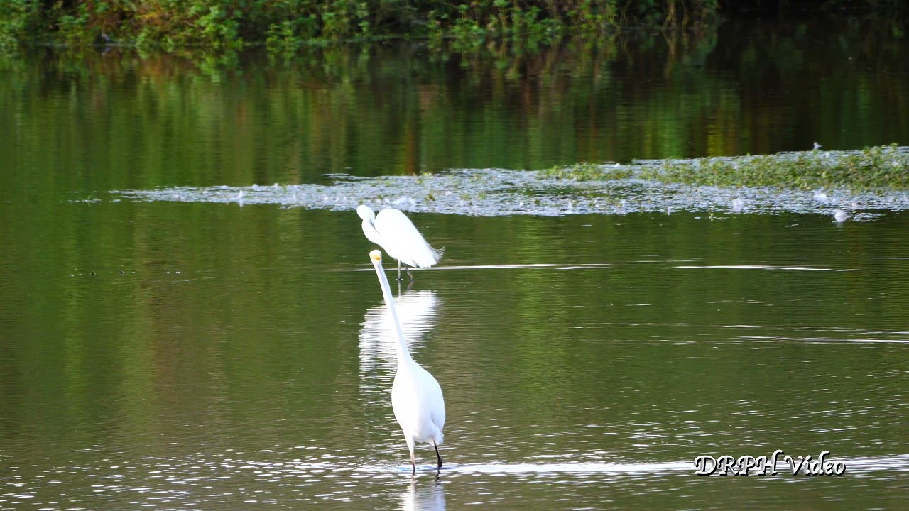 OUR VISIT TO LADYWALK PART 2 4K