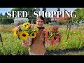 My New Favorite Sunflower Seed Shop | Sunflower Selections