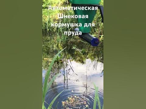 Автоматическая Шнековая кормушка для кормления рыб в пруду российского ...