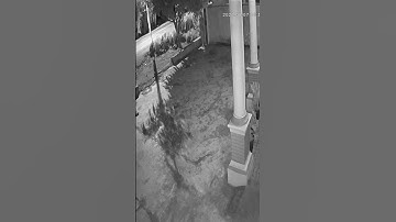 seorang wanita terekam kamera cctv sedang menaburkan tanah kuburan ke depan rumah orang jam 1 malam