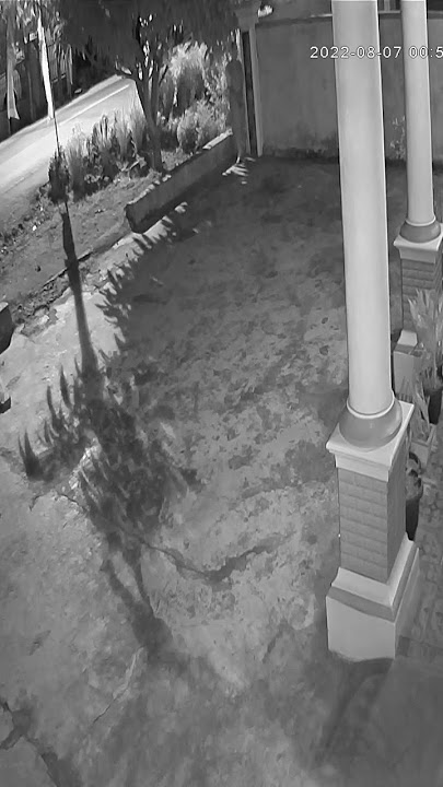 seorang wanita terekam kamera cctv sedang menaburkan tanah kuburan ke depan rumah orang jam 1 malam