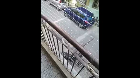 Transparent bird net professional installation. Amazing looking. Feel freedom.helpline 18001024540