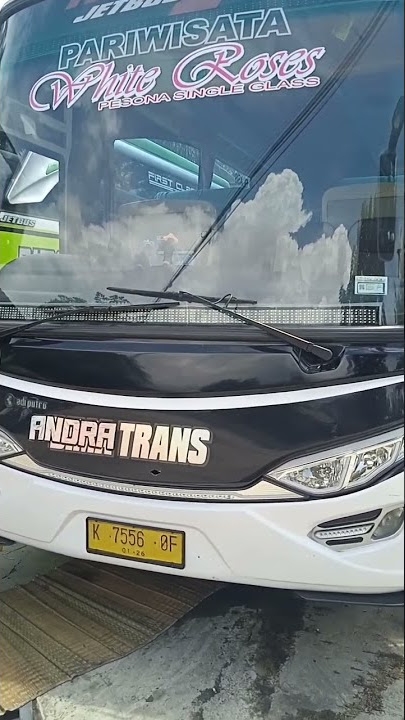 Andra Trans Mengular |Basuri V1