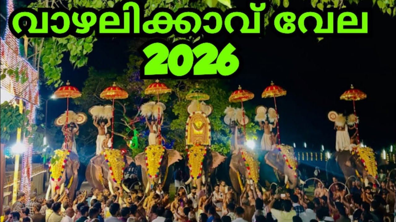 വാഴാലിക്കാവ് വേല 2026/Paingulam Vazhalikkavu Vela 2026 / Painglam Thrissur vazhalikkavu Vela 2026