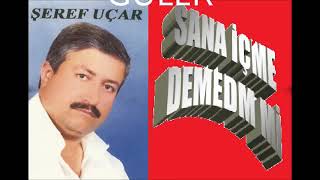 Sana İçme Demedim Mi-Söz İsmail Güler