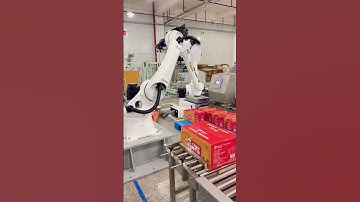 SALAN PACKING Automatic packaging production line