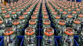 Amazing Soda Bottle Making Process How Glass Soda Bottles Are Made