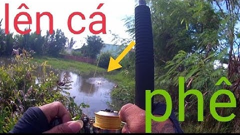 trở lại điểm câu củ phục thù cá chẻm và cái kết....