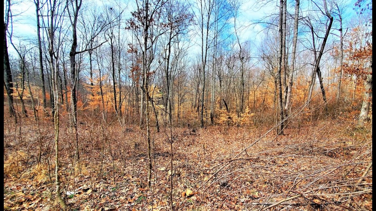 LAND FOR SALE Tennessee MEMORIAL DAY SPECIAL 5 UNRESTRICTED Acres