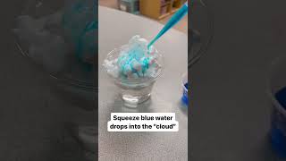 Famous Diy rain cloud experiment: easy science for kids! Net Worth