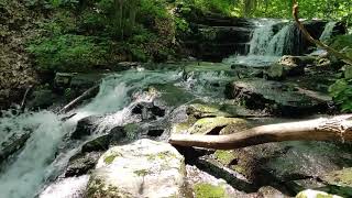 Poor Mountain Natural Preserve, Roanoke VA