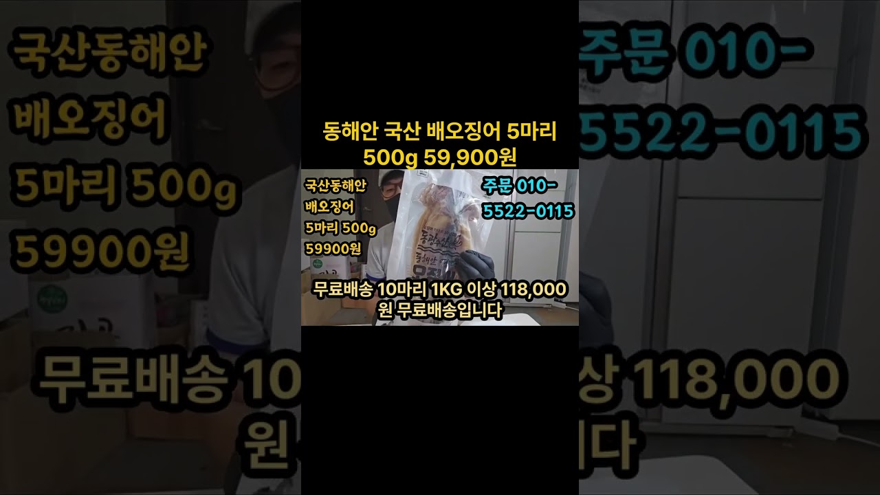 인기 마른오징어 배오징어 모음
